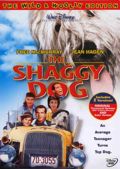 The Shaggy Dog