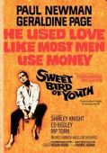 Sweet Bird of Youth
