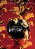 In the Mood for Love - Criterion Collection