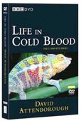 Life In Cold Blood