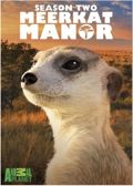 Meerkat Manor, Season 2